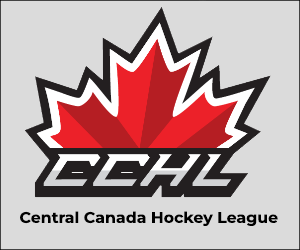 Ontario Hockey League's Bulldogs officially relocating from Hamilton to  Brantford